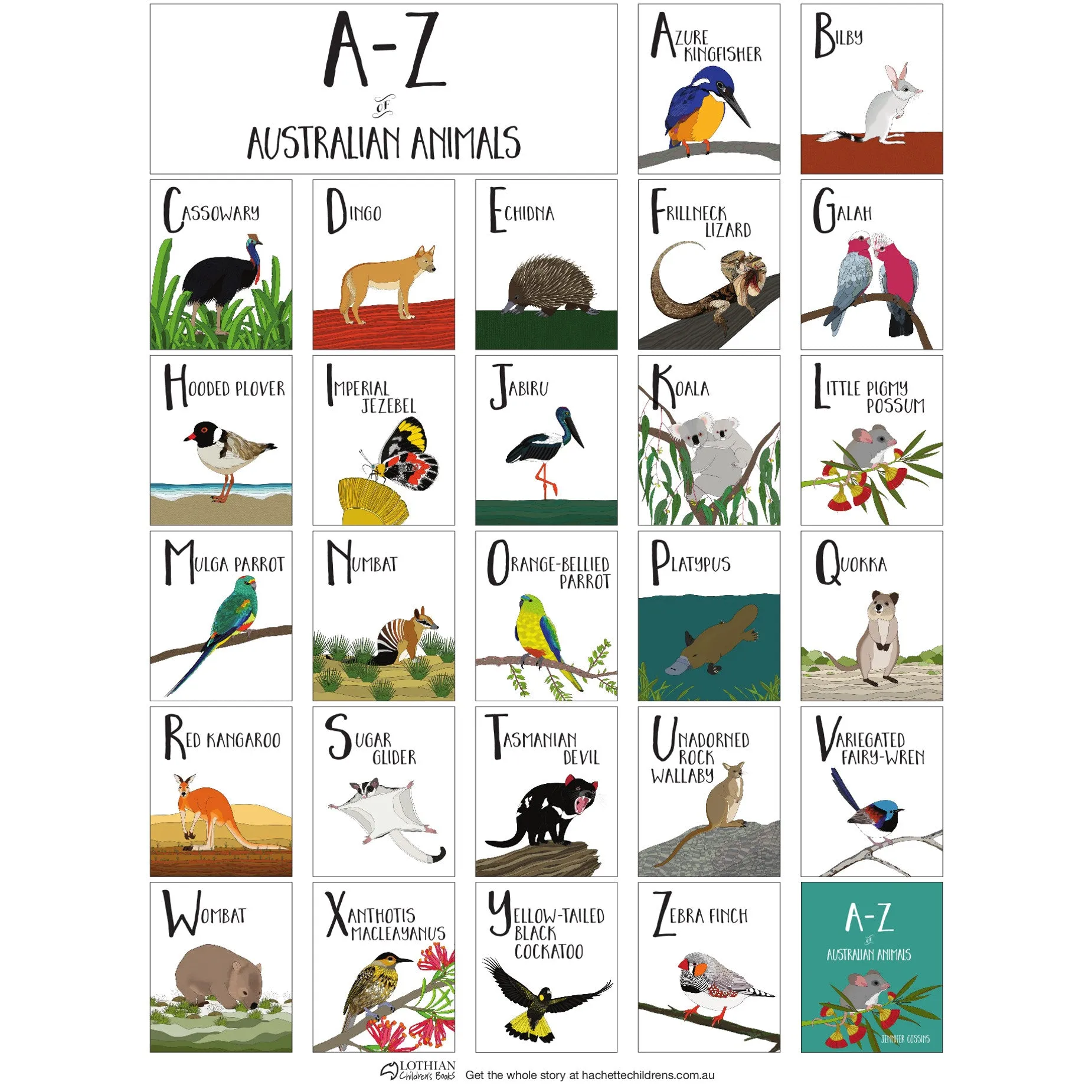 A - Z of Australian Animals HB Book