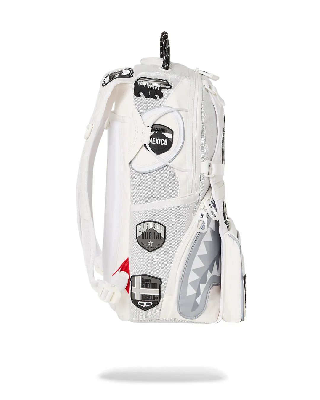 Expedition Snow Backpack