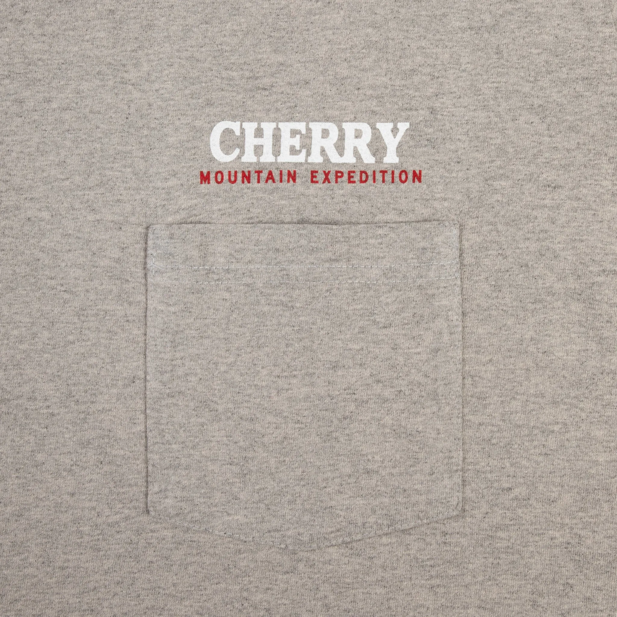 Mountain Expedition Boxy Pocket Tee (Heather Grey)