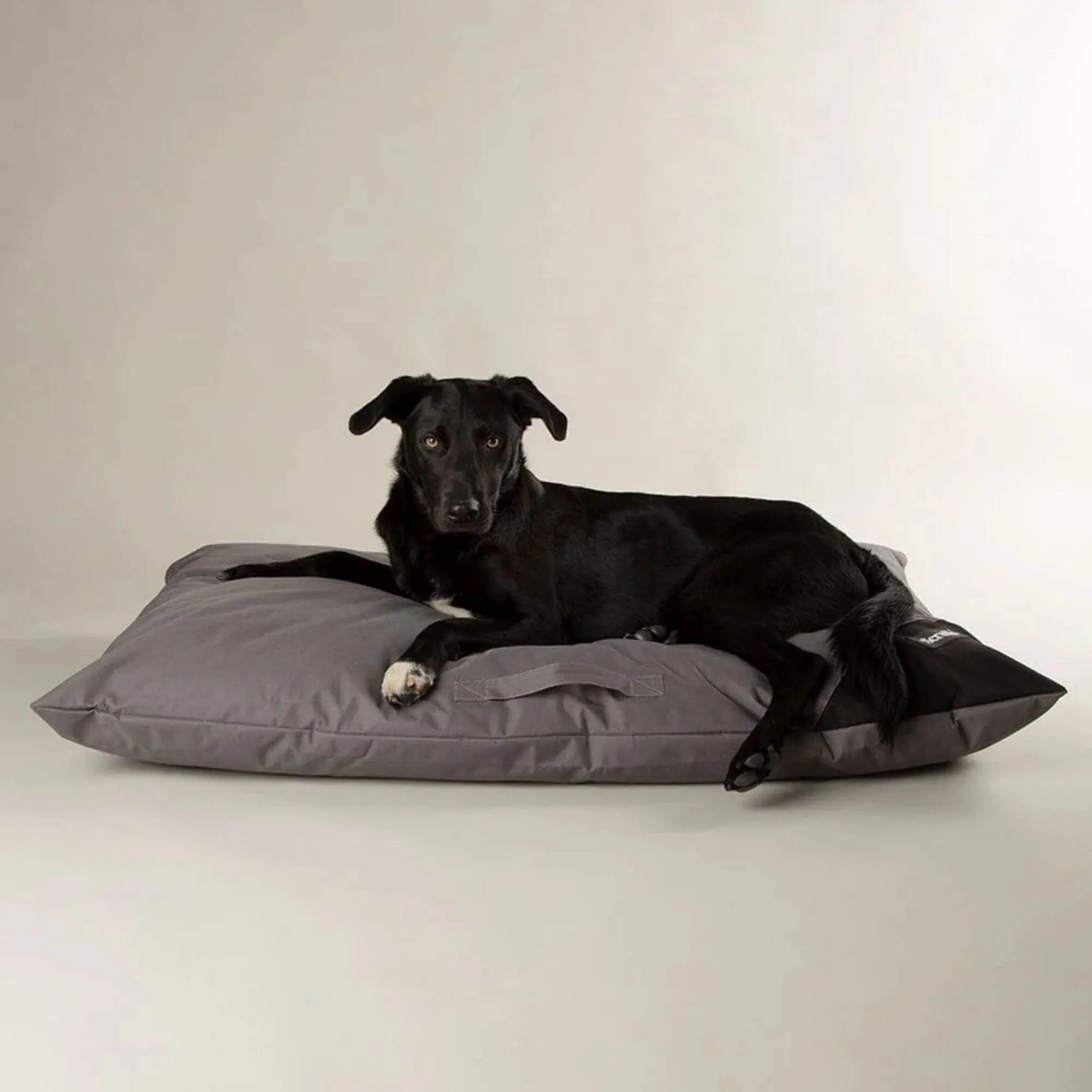 Scruffs Expedition Memory Foam Pillow Dog Bed